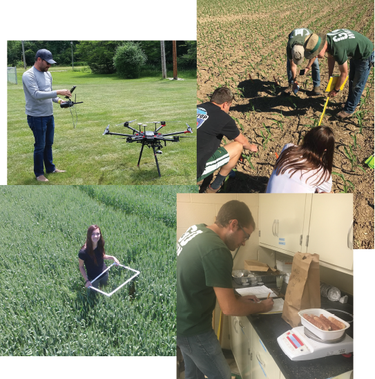 Wanted: Undergraduate Research Assistants