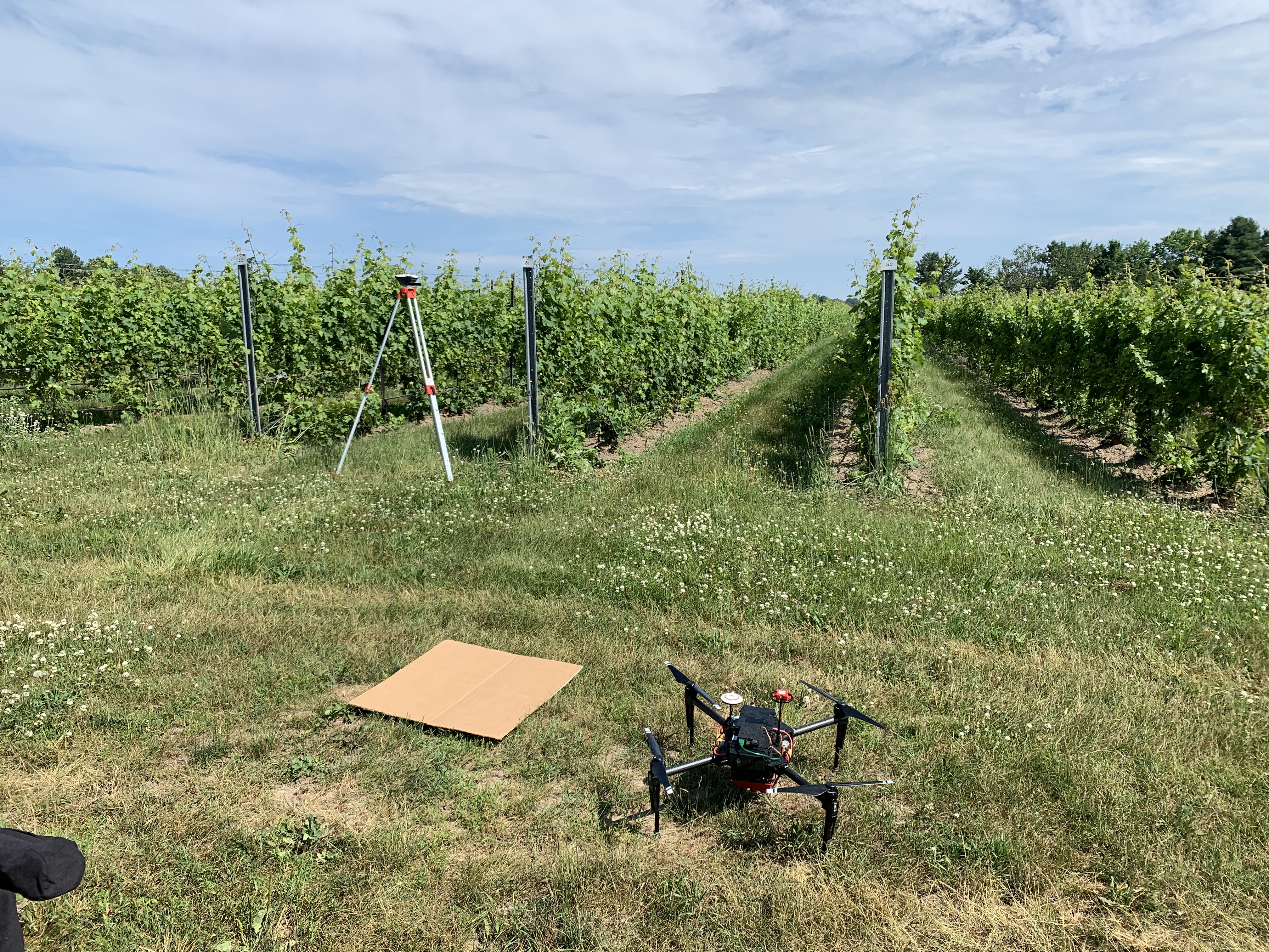 UAV in front of vinyard