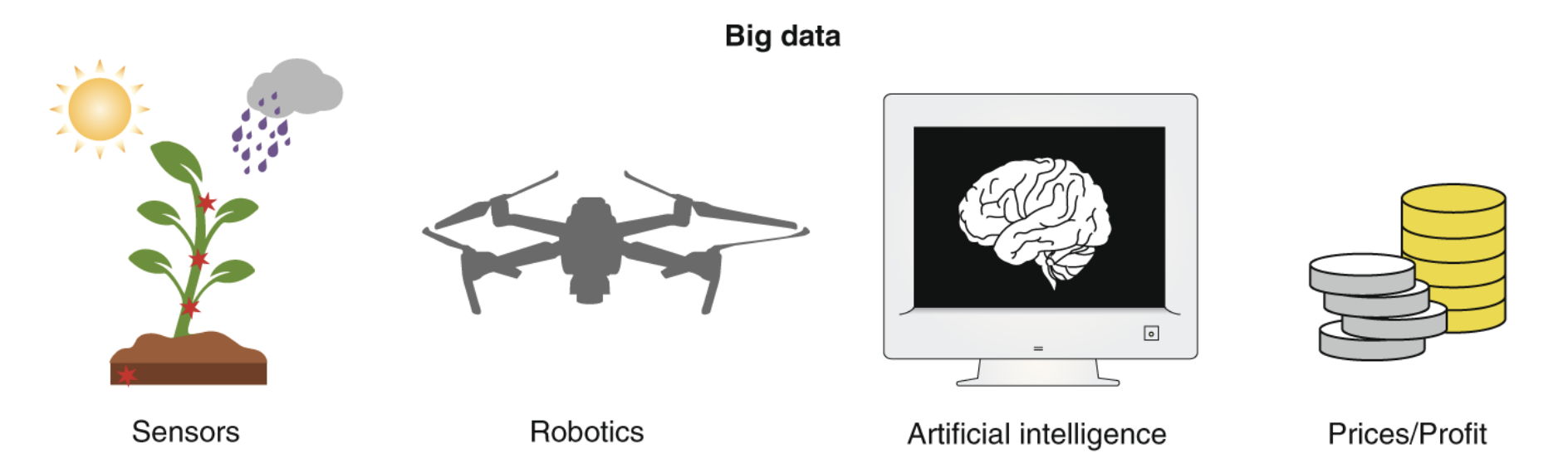 Digital agriculture to design sustainable agricultural systems