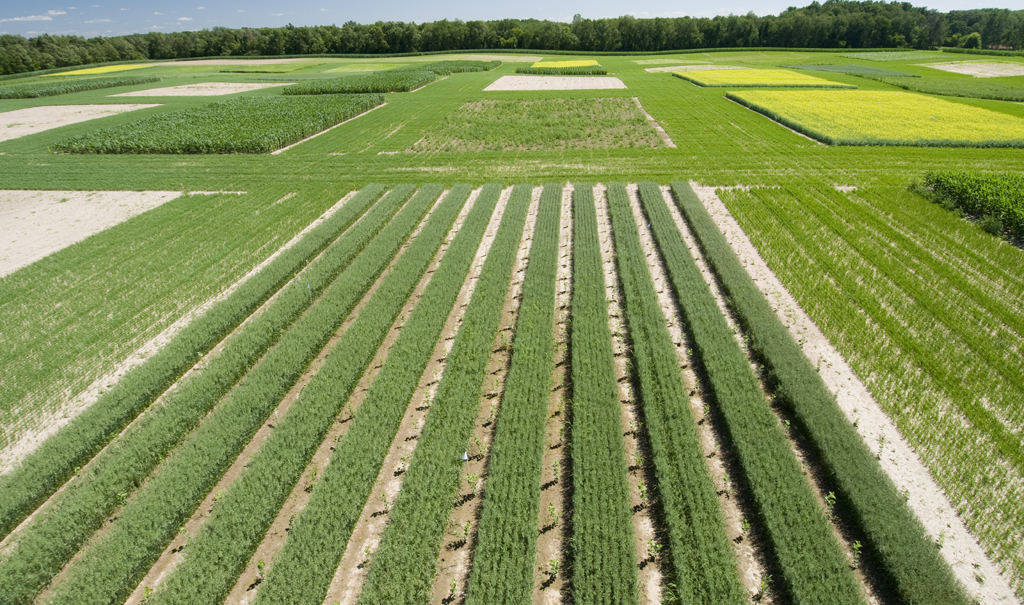 Big Data Helps Farmers Adapt to Climate Variability