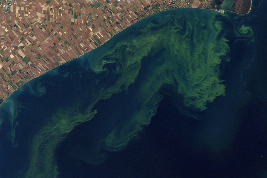 Algae Blooms Fed by Farm Flooding Add to Midwest's Climate Woes