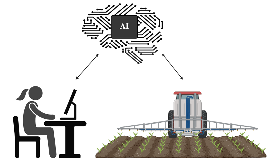 Precision agriculture: Artificial intelligence as a tool helping farmers